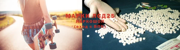 дживик Алзамай