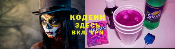 дмт Арсеньев