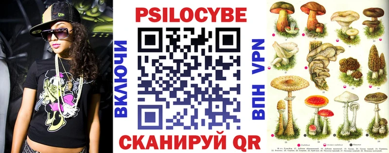 darknet клад  Бологое  блэк спрут как зайти  Псилоцибиновые грибы мицелий  магазин продажи наркотиков 