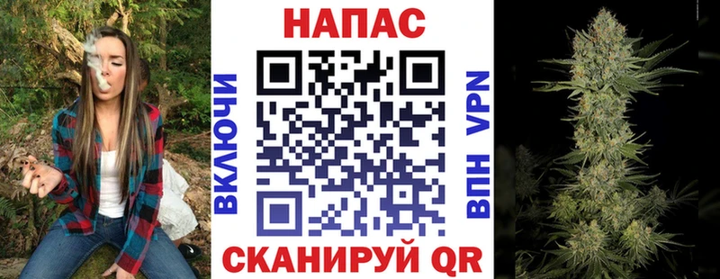 хочу наркоту  MEGA как войти  Канабис сатива  Бологое 